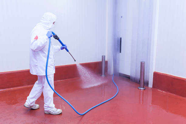 Best Roof Cleaning and Mildew Removal in Forest Park, IL