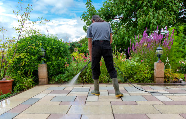 Best Parking Lot Cleaning in Forest Park, IL